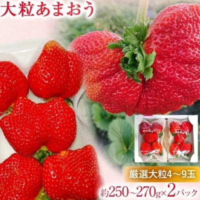 【2026年2月上旬より順次発送】 大粒あまおう 2パック 