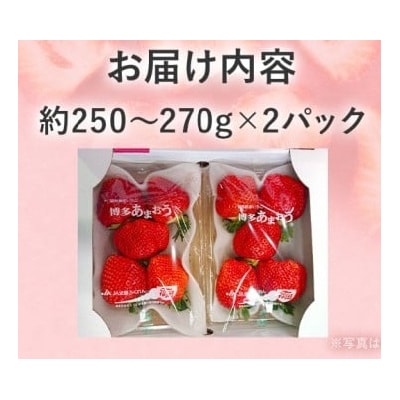【2026年2月上旬より順次発送】 大粒あまおう 2パック 