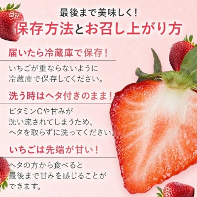 【2026年2月上旬より順次発送】 大粒あまおう 2パック 