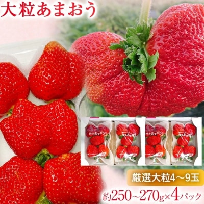 y2026N2{菇z 嗱܂ 4pbN