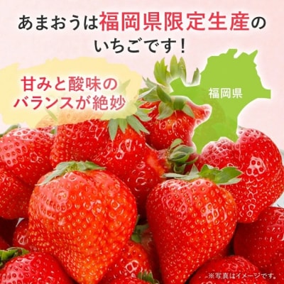 【2026年2月上旬より順次発送】 大粒あまおう 4パック 