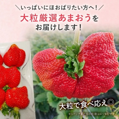 【2026年2月上旬より順次発送】 大粒あまおう 4パック 