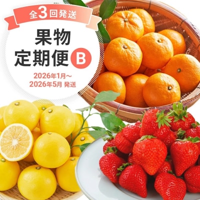 【3回発送】果物定期便B　 2025