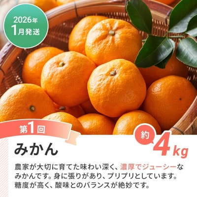 【3回発送】果物定期便B　 2025