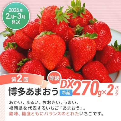 【3回発送】果物定期便B　 2025