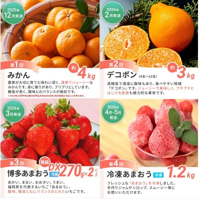 【6回発送】果物定期便C　 2025