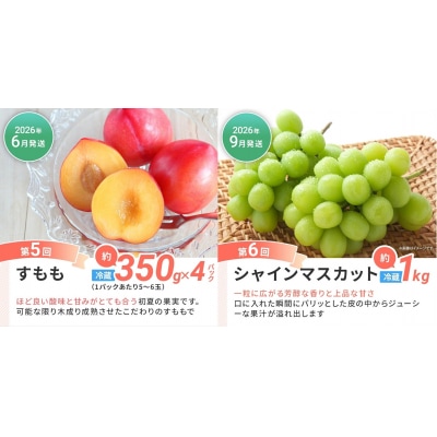 【6回発送】果物定期便C　 2025