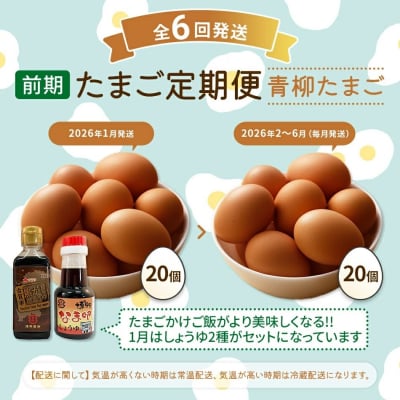 【定期便(6回発送)】たまご(前期)定期便・青柳たまご 2025