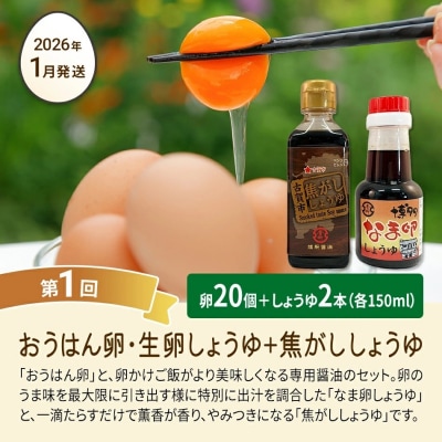 【定期便(6回発送)】たまご(前期)定期便・青柳たまご 2025