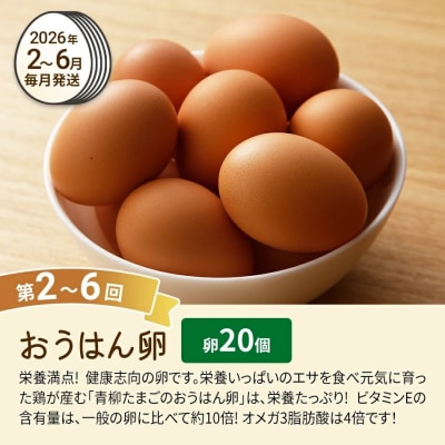 【定期便(6回発送)】たまご(前期)定期便・青柳たまご 2025
