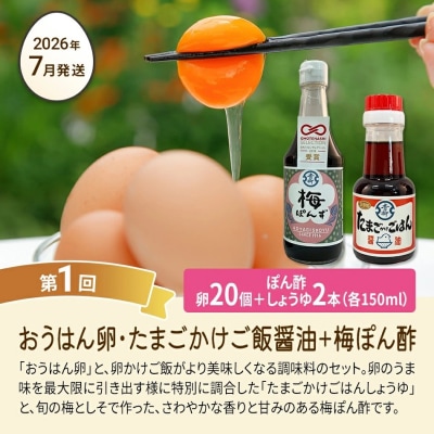 【定期便(6回発送)】たまご(後期)定期便・青柳たまご 2025