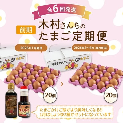 【定期便(6回発送)】木村さんちのたまご(前期)定期便 2025
