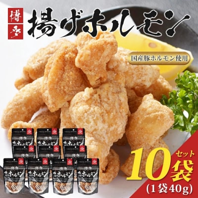 博多揚げホルモン(10袋セット)