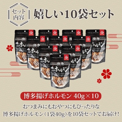 博多揚げホルモン(10袋セット)