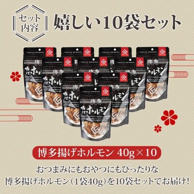 博多揚げホルモン(10袋セット)