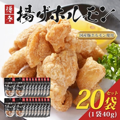 博多揚げホルモン(20袋セット)