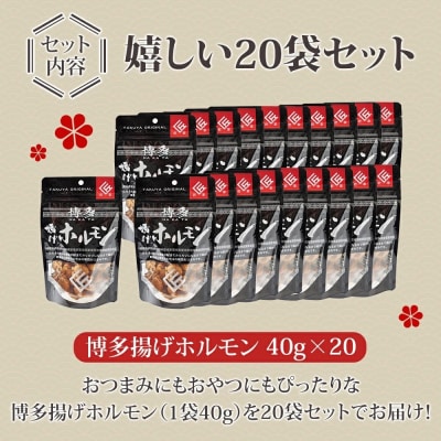 博多揚げホルモン(20袋セット)