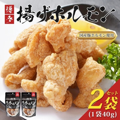 博多揚げホルモン(2袋セット)