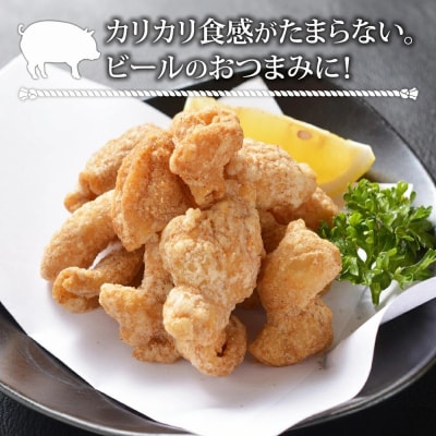 博多揚げホルモン(2袋セット)