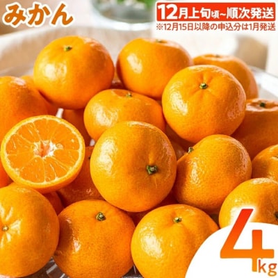 みかん 約4kg