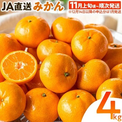 みかん 約4kg　※2026年11月上旬頃から順次発送