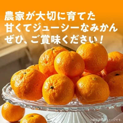みかん 約4kg