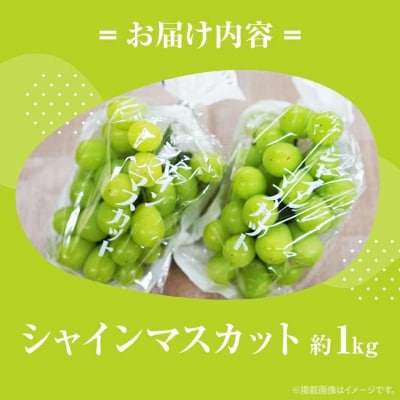 シャインマスカット約1kg