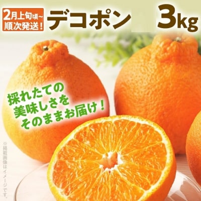 デコポン約3kg