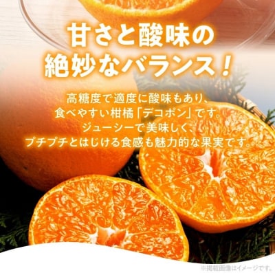 デコポン(不知火)約3kg　※2027年2月上旬頃から順次発送