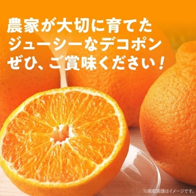 デコポン約3kg