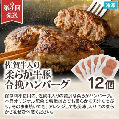 【3回発送】古賀市三大人気グルメ定期便