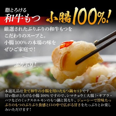 和牛もつ鍋10人前セット