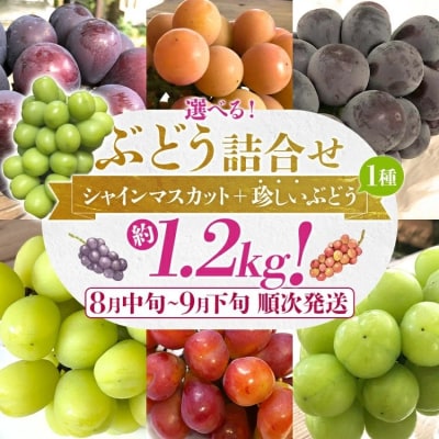 �Ԃǂ��l����(�V���C���}�X�J�b�g+�������Ԃǂ�)