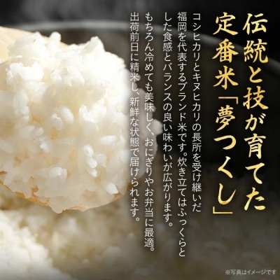 福岡県産米 夢つくし 5kg(令和7年度　精米)