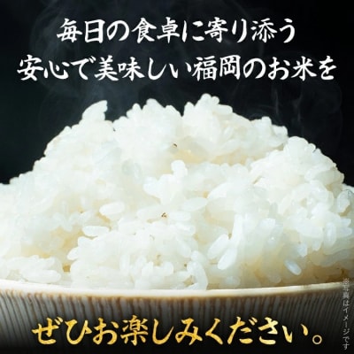 福岡県産米 夢つくし 5kg(令和7年度　精米)