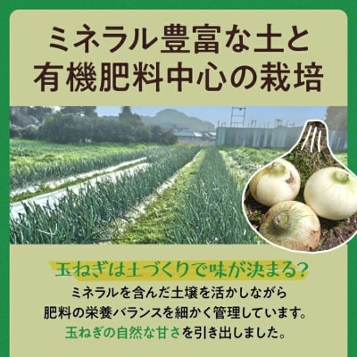 古賀市産たまねぎ　4kg