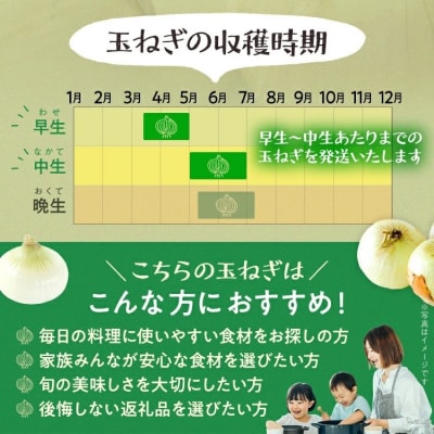 古賀市産たまねぎ　4kg