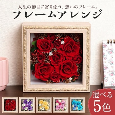フレームアレンジ 正方形 (5色)