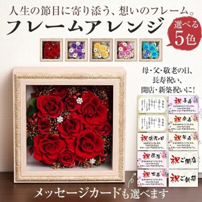 フレームアレンジ 正方形 (5色)