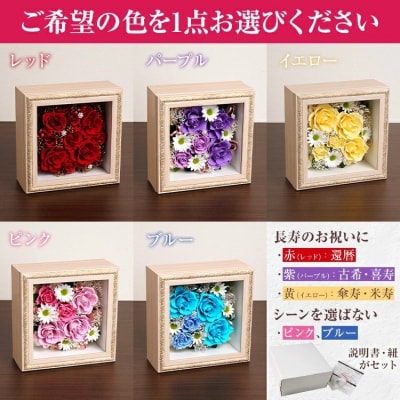 フレームアレンジ 正方形 (5色)