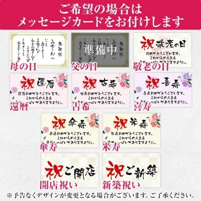 フレームアレンジ 正方形 (5色)