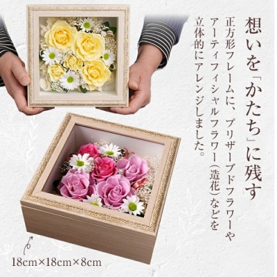 フレームアレンジ 正方形 (5色)