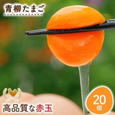 青柳たまご20個