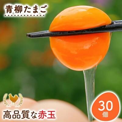 青柳たまご30個