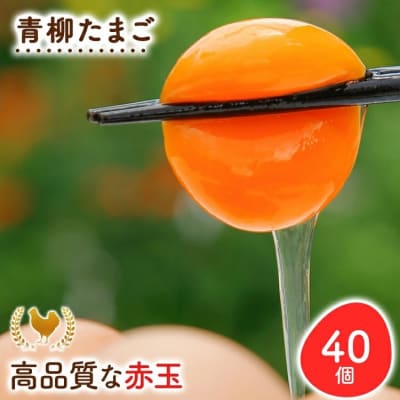 青柳たまご40個