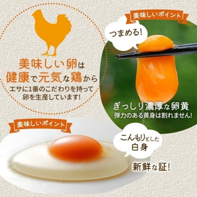 青柳たまご40個
