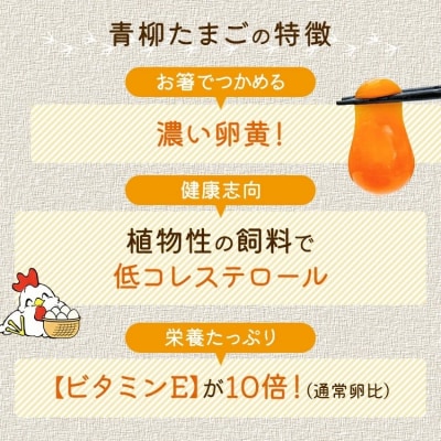 青柳たまご40個