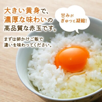 青柳たまご40個