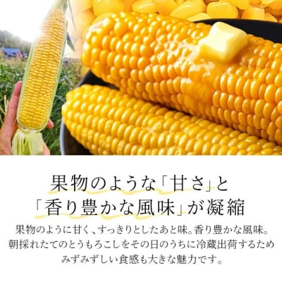 朝採りスイートコーン(10本)