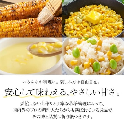 朝採りスイートコーン(10本)